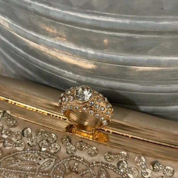 Embellished Beaded Champagne Evening Clutch - Picture 6 of 12